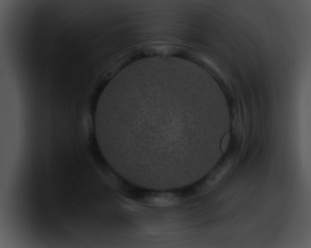 X0000100390459200806061258