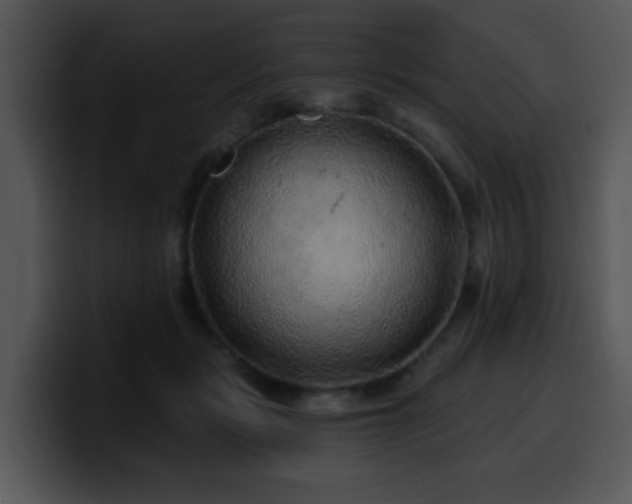 X0000100390461200806061258