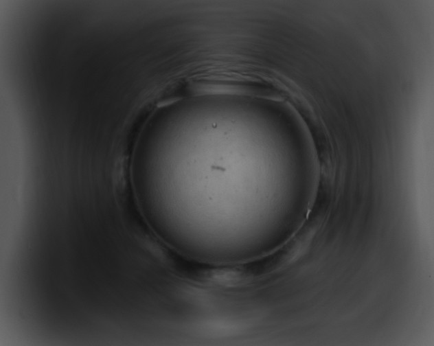 X0000100390462200806061258