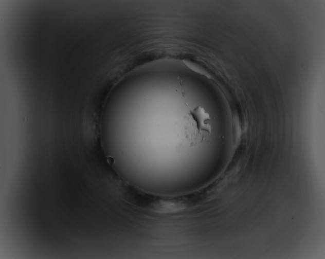 X0000100390464200806061258