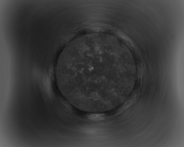 X0000100390465200806061258