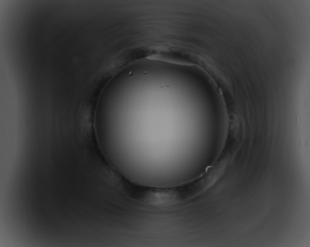 X0000100390466200806061258