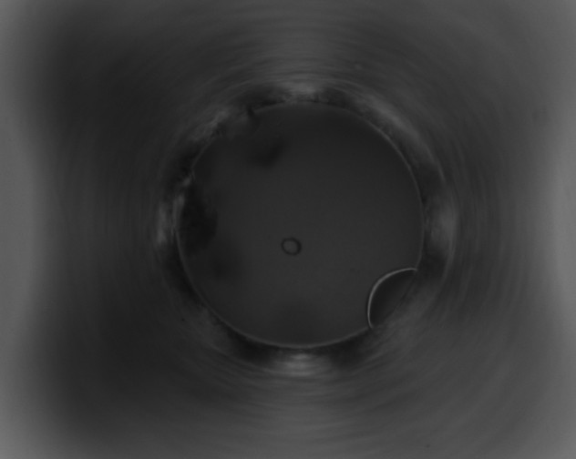 X0000100390467200806061258