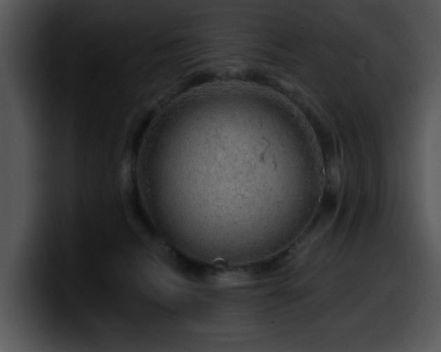 X0000100390468200806061258