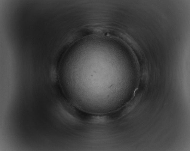 X0000100390469200806061258