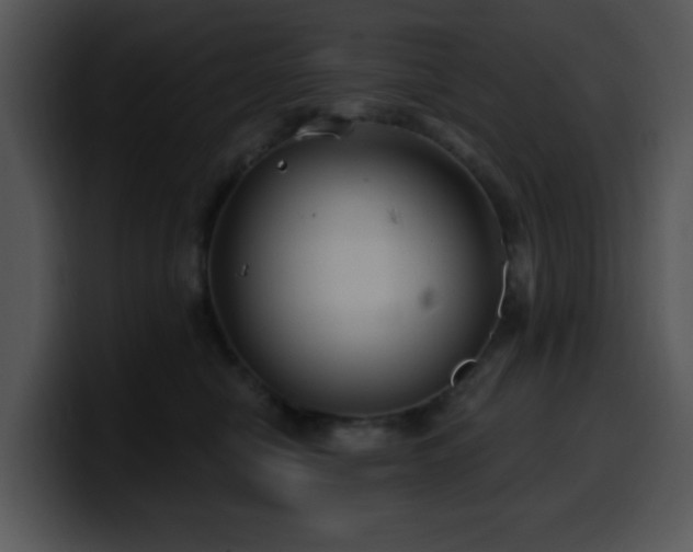 X0000100390470200806061258