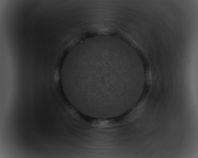 X0000100390472200806061258