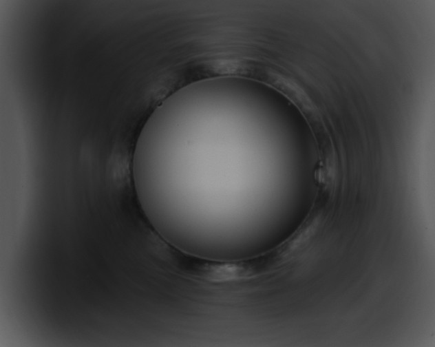 X0000100390473200806061258