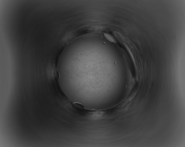 X0000100390474200806061258