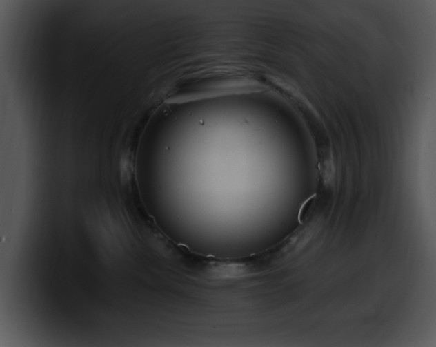X0000100390476200806061258