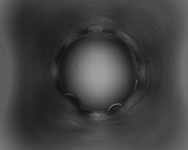 X0000100390477200806061258