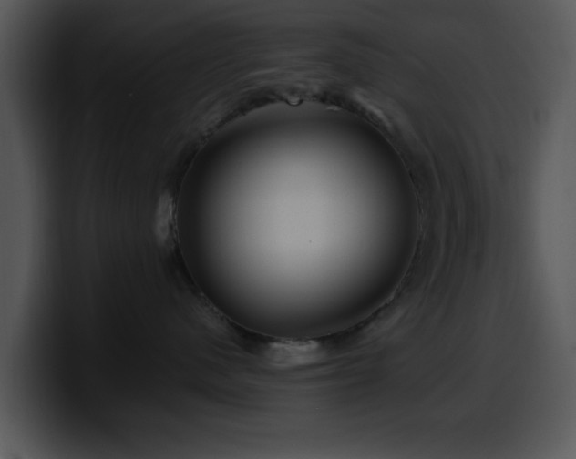 X0000100390480200806061258