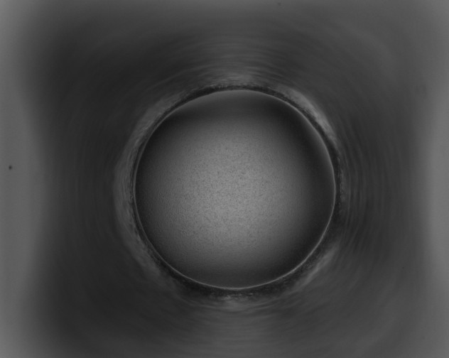 X0000100390481200806061257