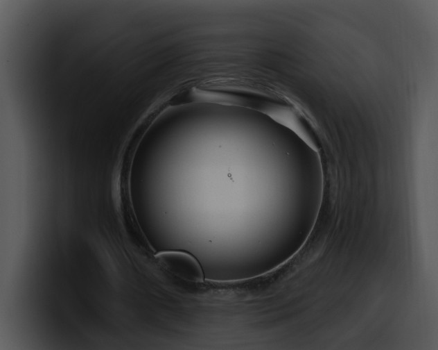 X0000100390482200806061257