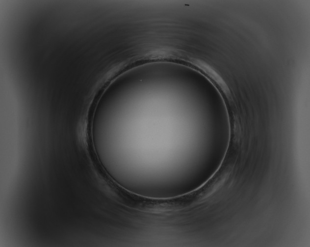 X0000100390485200806061257