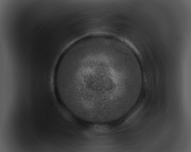 X0000100390487200806061257