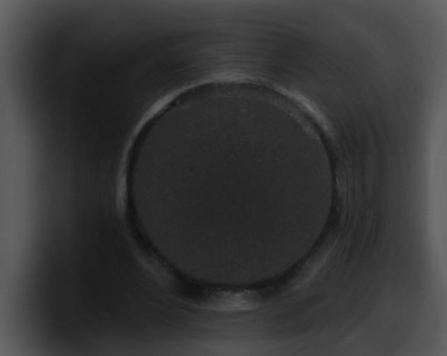 X0000100390488200806061257