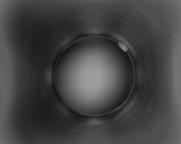 X0000100390489200806061257