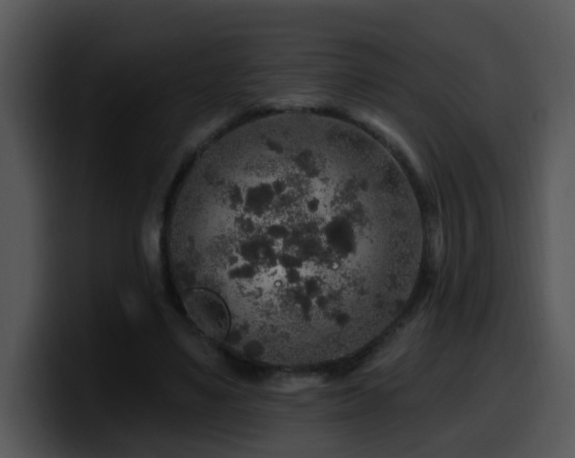 X0000100390491200806061257