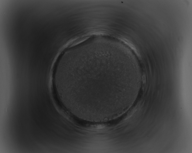 X0000100390492200806061257