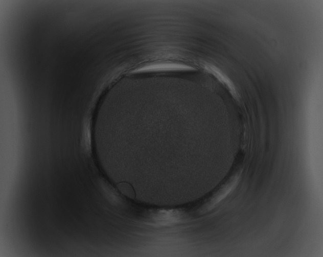 X0000100390493200806061257