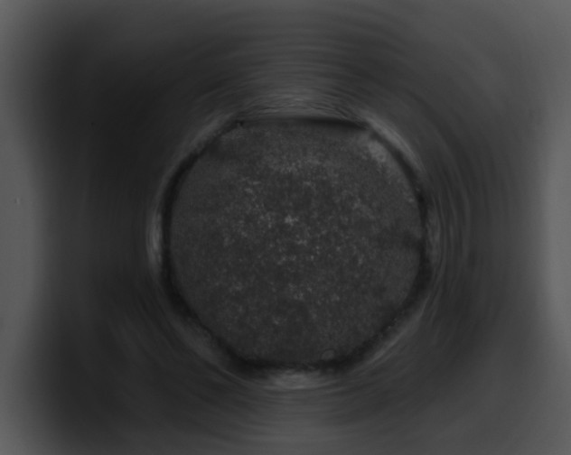 X0000100390494200806061257