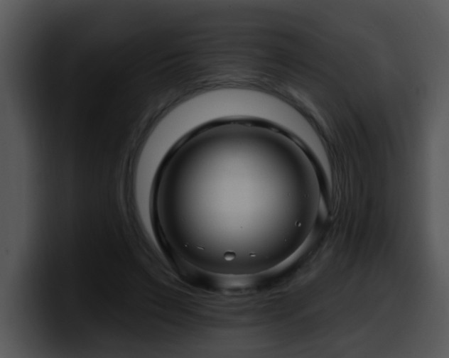 X0000100390495200806061257