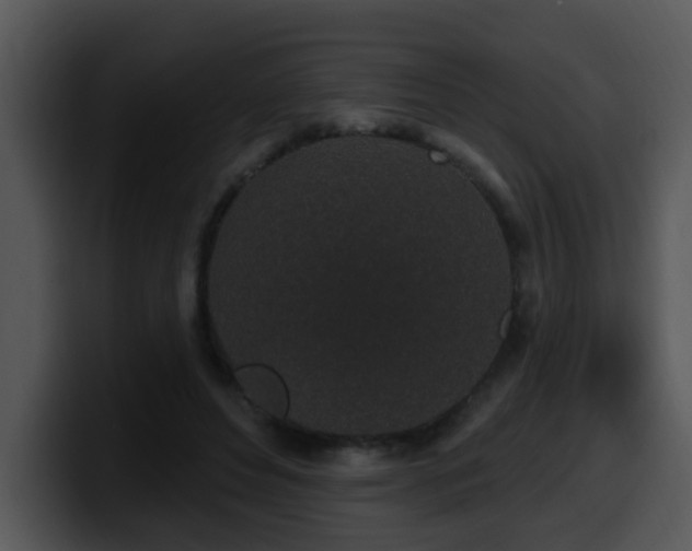 X0000100390496200806061257