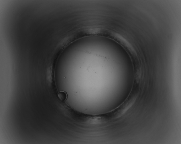 X0000100390497200806061257
