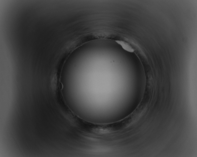 X0000100390498200806061257