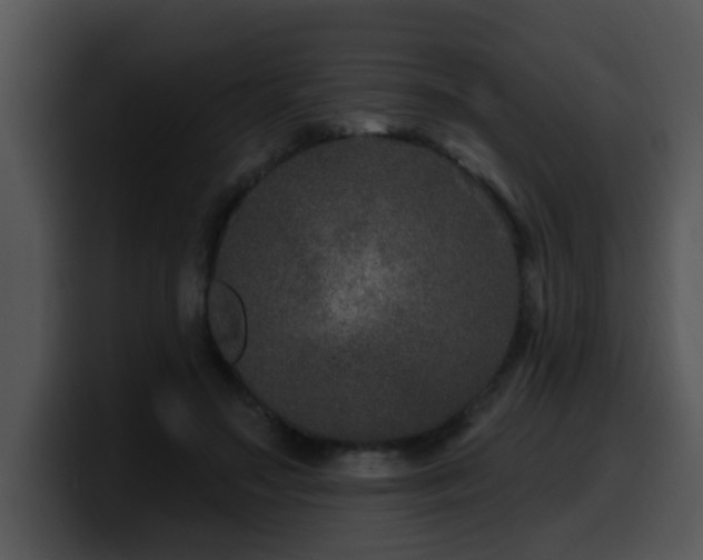 X0000100390499200806061257