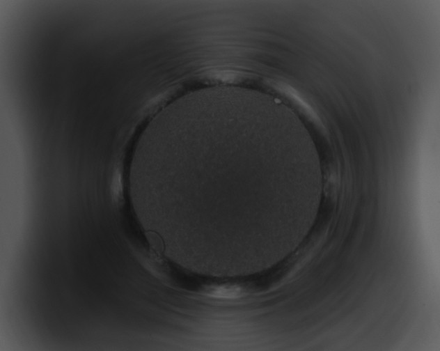 X0000100390500200806061257