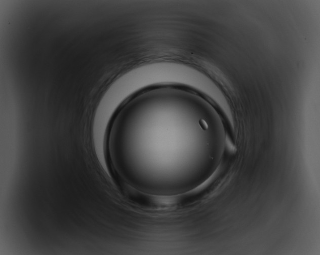 X0000100390501200806061257