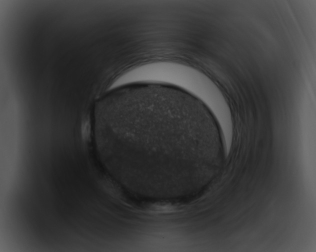 X0000100390502200806061257