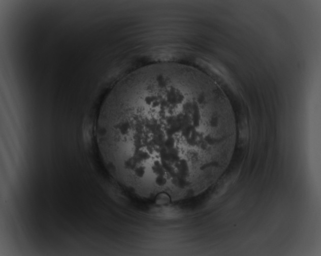 X0000100390503200806061257