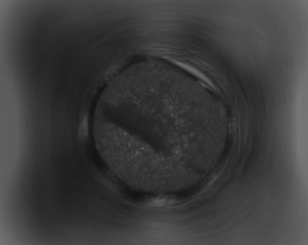 X0000100390504200806061257