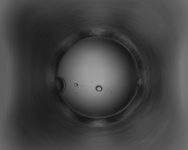 X0000100390505200806061257