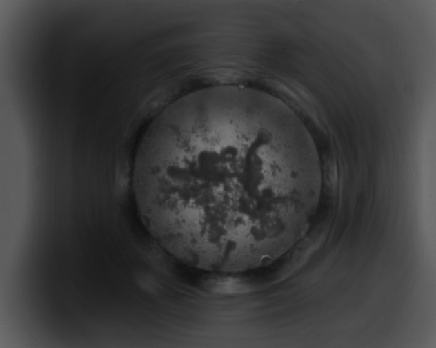 X0000100390507200806061257