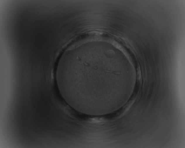 X0000100390508200806061257