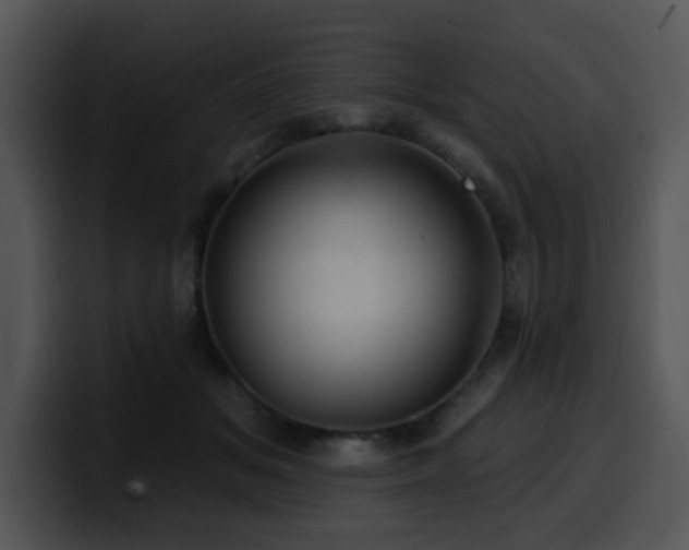 X0000100390509200806061257