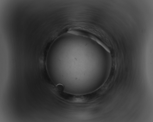 X0000100390510200806061257