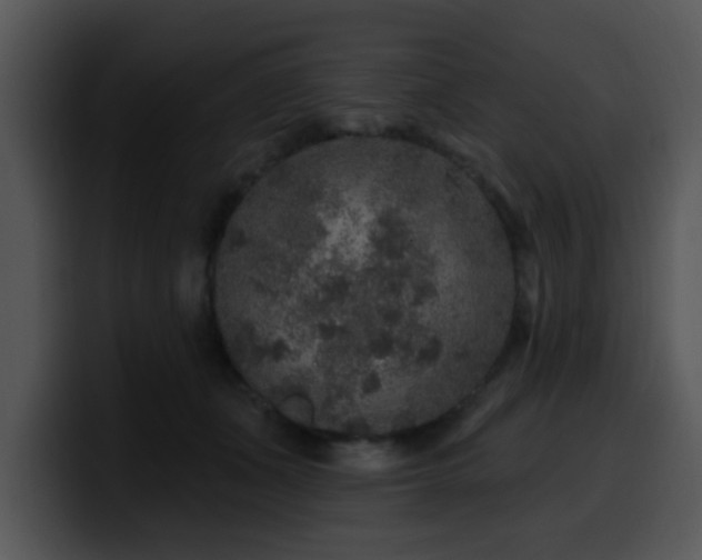 X0000100390511200806061257