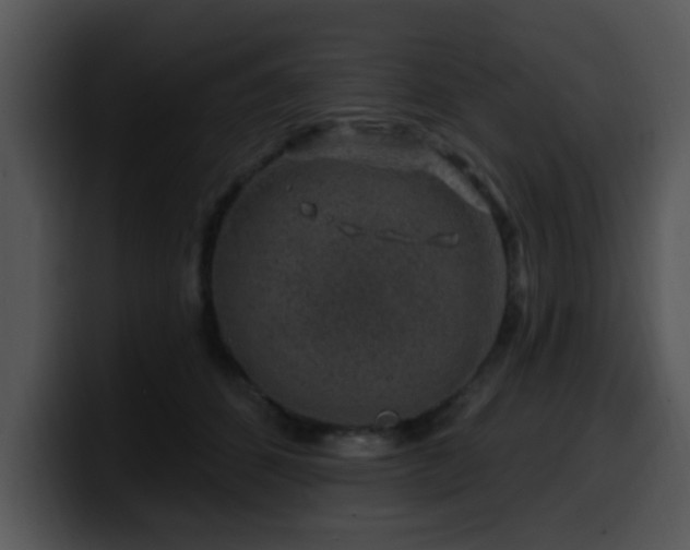 X0000100390512200806061257