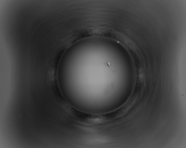 X0000100390514200806061257