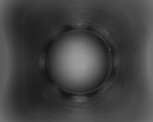 X0000100390515200806061257