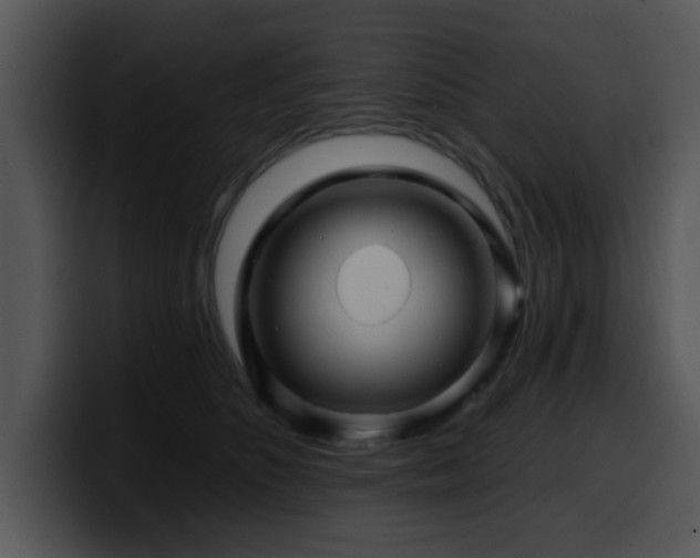 X0000100390516200806061257