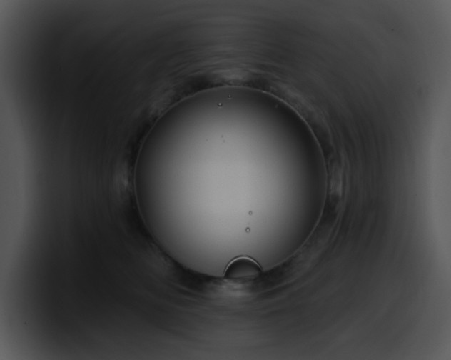 X0000100390518200806061257