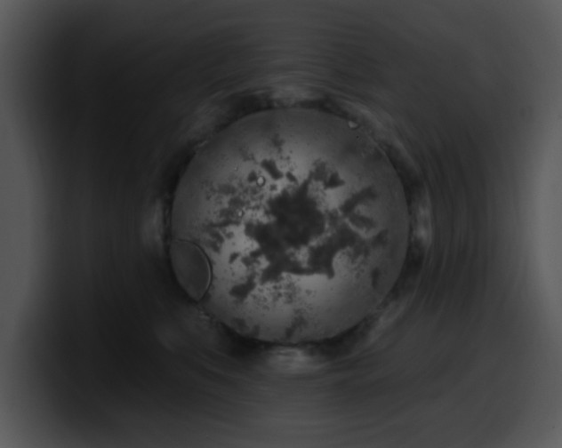 X0000100390519200806061257