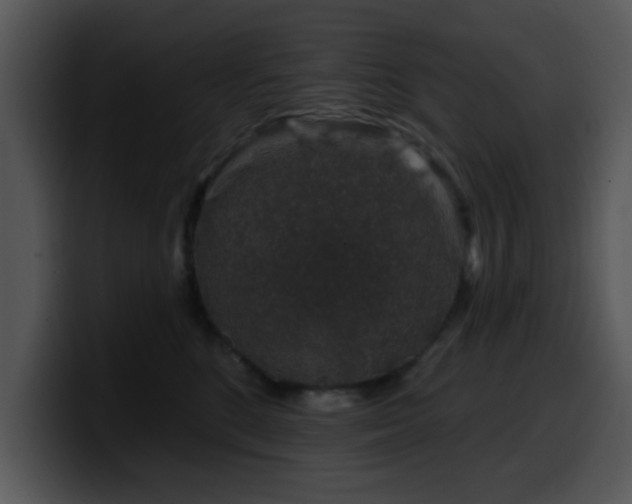X0000100390520200806061257