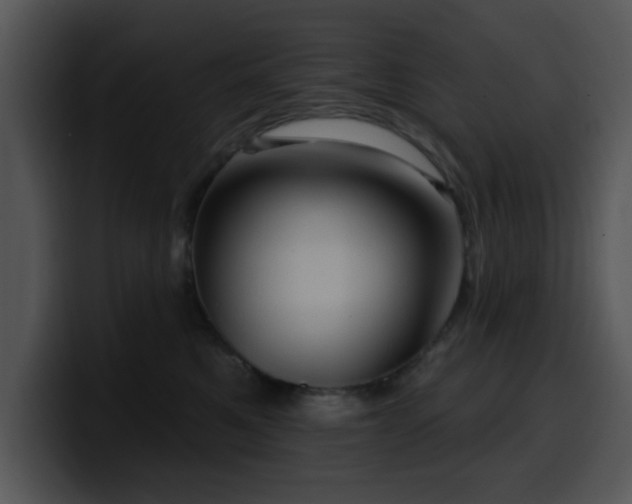 X0000100390521200806061257